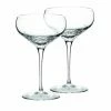 Wedgwood - Vera Wang Sequin Champagne Saucer Set 2pce