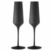 Tempa - Aurora Champagne Glass Matte Black Set 2pce