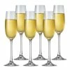 S & P - Salut Champagne Flute Set 6pce